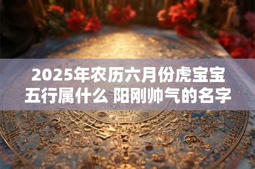 2025年农历六月份虎宝宝五行属什么 阳刚帅气的名字