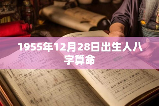 1955年12月28日出生人八字算命
