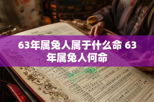 63年属兔人属于什么命 63年属兔人何命