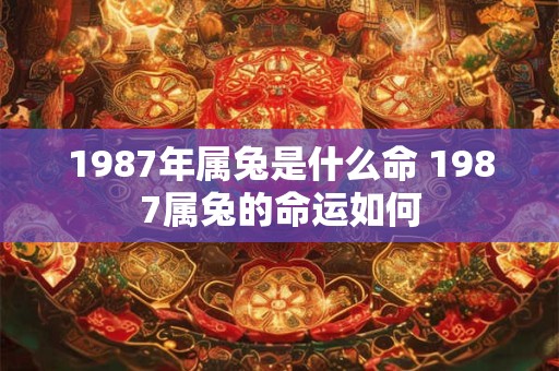 1987年属兔是什么命 1987属兔的命运如何 1987年属兔是什么命 1987属兔的命运如何