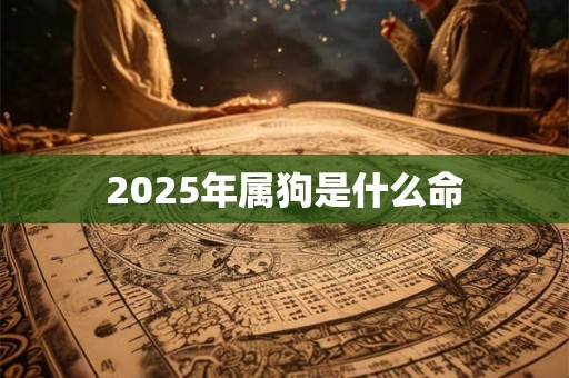 2025年属狗是什么命