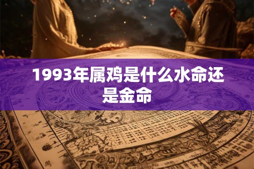1993年属鸡是什么水命还是金命