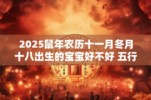 2025鼠年农历十一月冬月十八出生的宝宝好不好 五行缺什么