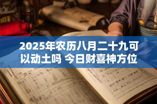 2025年农历八月二十九可以动土吗 今日财喜神方位