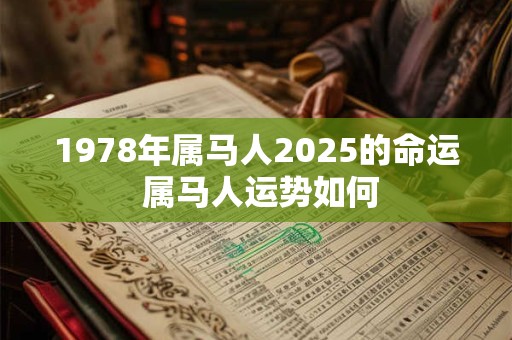 1978年属马人2025的命运 属马人运势如何 1978年属马人2025的命运 属马人运势如何