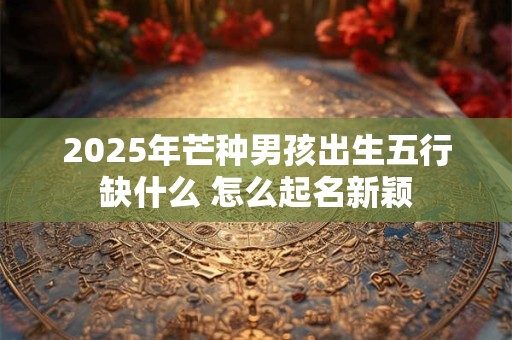 2025年芒种男孩出生五行缺什么 怎么起名新颖