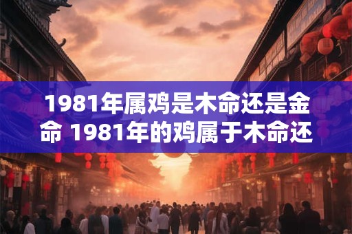 1981年属鸡是木命还是金命 1981年的鸡属于木命还是金命