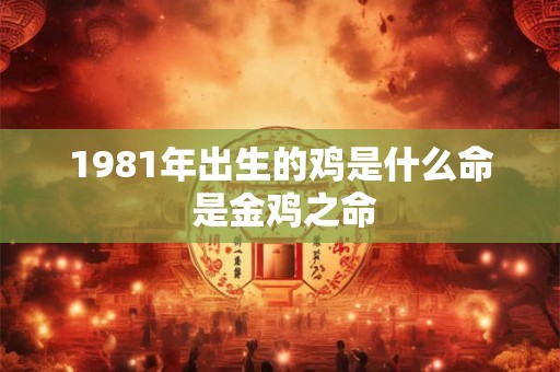 1981年出生的鸡是什么命 是金鸡之命