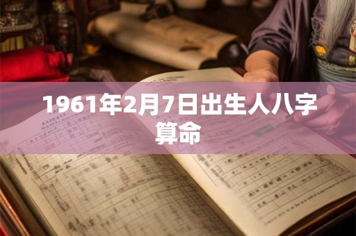 1961年2月7日出生人八字算命