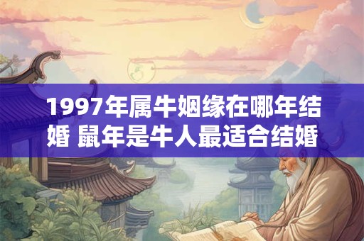 1997年属牛姻缘在哪年结婚 鼠年是牛人最适合结婚的一年 1997年属牛姻缘在哪年结婚 鼠年是牛人最适合结婚的一年