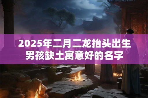 2025年二月二龙抬头出生男孩缺土寓意好的名字