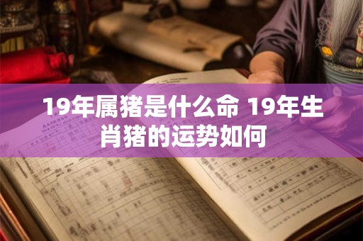 19年属猪是什么命 19年生肖猪的运势如何