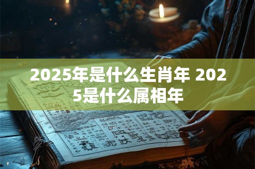 2025年是什么生肖年 2025是什么属相年