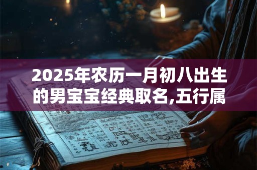 2025年农历一月初八出生的男宝宝经典取名,五行属什么