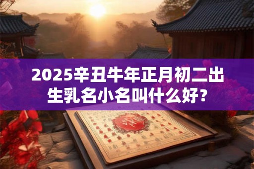2025辛丑牛年正月初二出生乳名小名叫什么好？