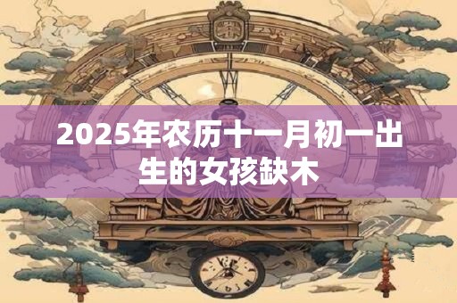 2025年农历十一月初一出生的女孩缺木 2025年农历十一月初一出生的女孩缺木