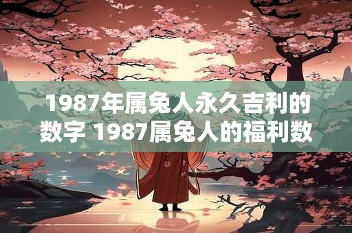 1987年属兔人永久吉利的数字 1987属兔人的福利数字是