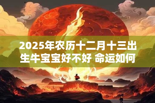 2026年农历十二月十三出生牛宝宝好不好 命运如何