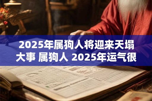 2025年属狗人将迎来天塌大事 属狗人 2025年运气很差吗