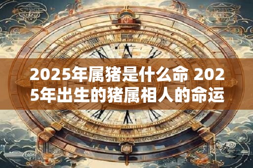 2025年属猪是什么命 2025年出生的猪属相人的命运如何