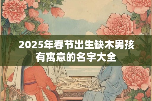 2025年春节出生缺木男孩有寓意的名字大全