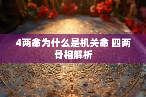 4两命为什么是机关命 四两骨相解析