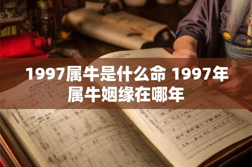 1997属牛是什么命 1997年属牛姻缘在哪年
