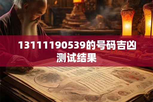 13111190539的号码吉凶测试结果
