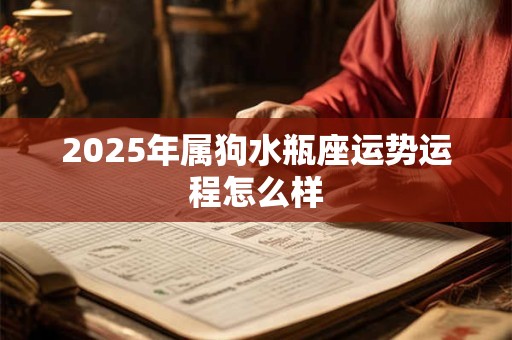 2025年属狗水瓶座运势运程怎么样