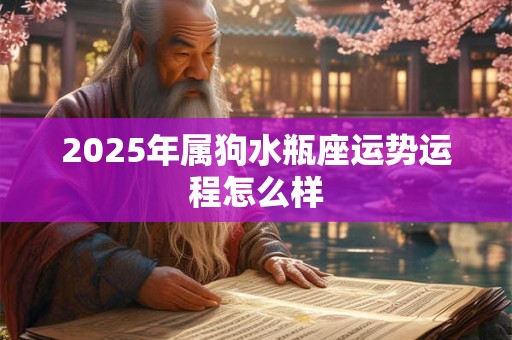 2025年属狗水瓶座运势运程怎么样