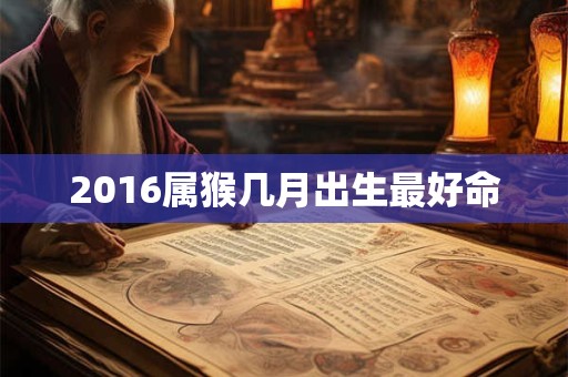 2016属猴几月出生最好命