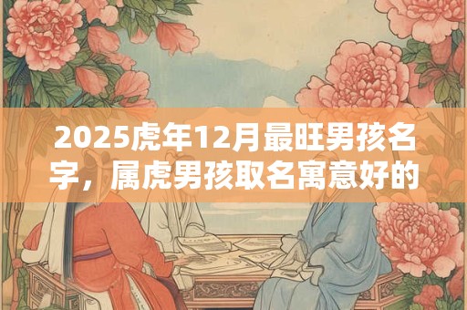 2026虎年12月最旺男孩名字，属虎男孩取名寓意好的字