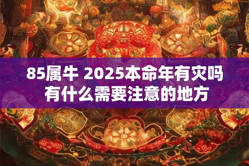 85属牛 2025本命年有灾吗 有什么需要注意的地方
