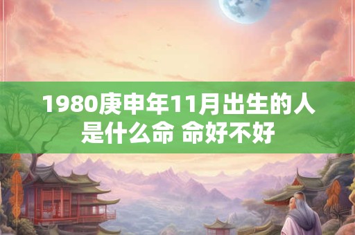 1980庚申年11月出生的人是什么命 命好不好
