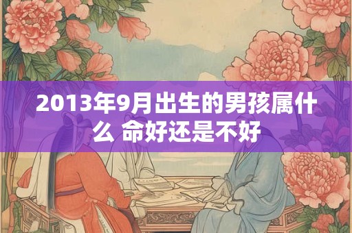2013年9月出生的男孩属什么 命好还是不好