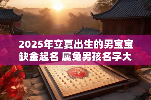 2025年立夏出生的男宝宝缺金起名 属兔男孩名字大全