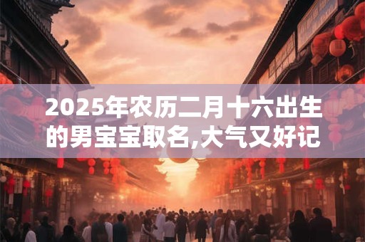 2025年农历二月十六出生的男宝宝取名,大气又好记