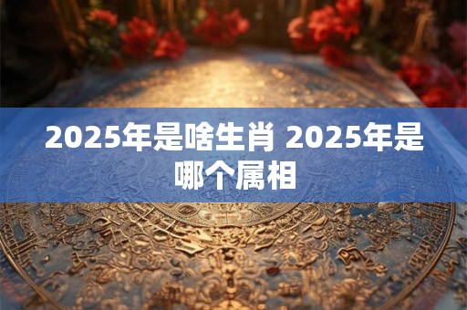 2025年是啥生肖 2025年是哪个属相