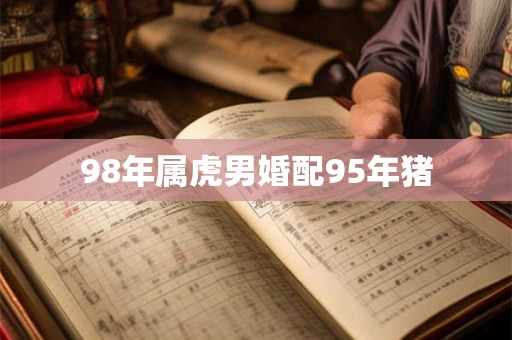 98年属虎男婚配95年猪 98年属虎男婚配95年猪