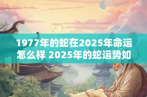 1977年的蛇在2025年命运怎么样 2025年的蛇运势如何 1977年的蛇在2025年命运怎么样 2025年的蛇运势如何