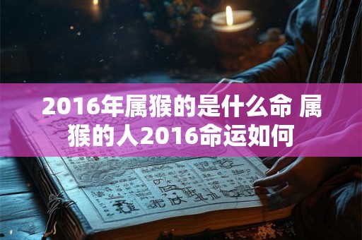 2016年属猴的是什么命 属猴的人2016命运如何