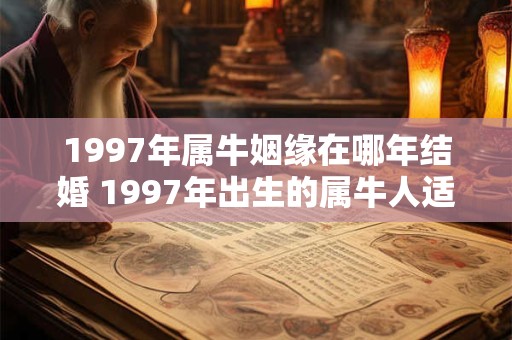 1997年属牛姻缘在哪年结婚 1997年出生的属牛人适合在哪年结婚