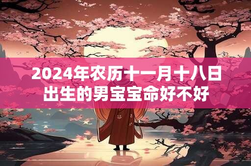 2024年农历十一月十八日出生的男宝宝命好不好