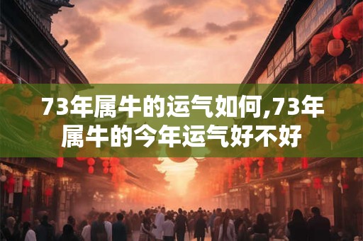 73年属牛的运气如何,73年属牛的今年运气好不好