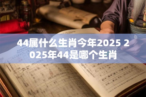 44属什么生肖今年2025 2025年44是哪个生肖