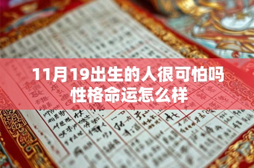 11月19出生的人很可怕吗 性格命运怎么样