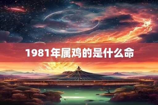 1981年属鸡的是什么命