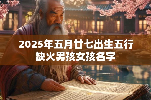 2025年五月廿七出生五行缺火男孩女孩名字