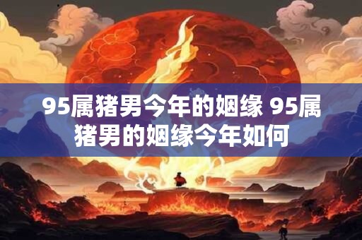 95属猪男今年的姻缘 95属猪男的姻缘今年如何