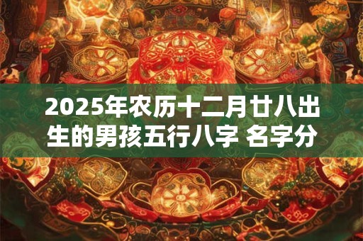 2025年农历十二月廿八出生的男孩五行八字 名字分享